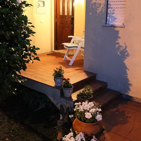 Casa Da Camelia - *