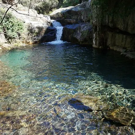 Casa Da Camelia - Arouca